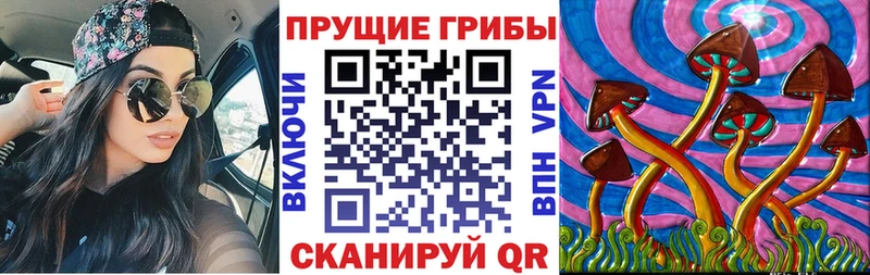 купить наркоту  Анапа  Псилоцибиновые грибы мицелий 
