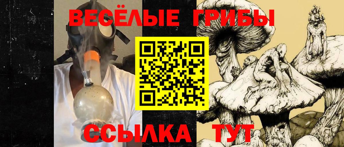 Галлюциногенные грибы мицелий  Вход с VPN  Анапа  Галлюциногенные грибы Psilocybine cubensis 