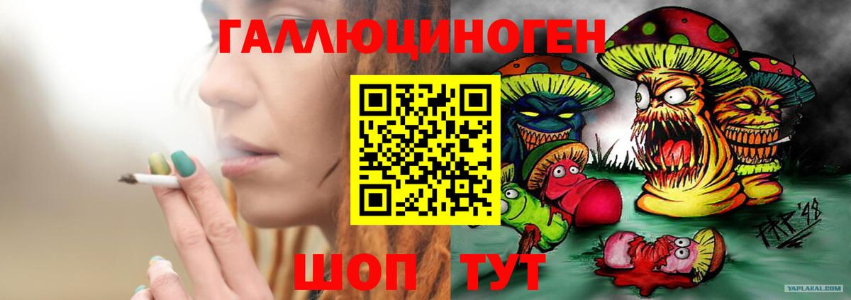 Галлюциногенные грибы Psilocybine cubensis Анапа