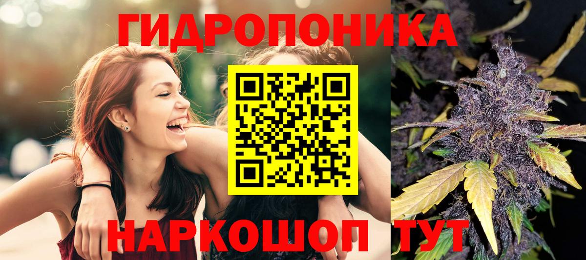 Бошки Шишки Amnesia Анапа